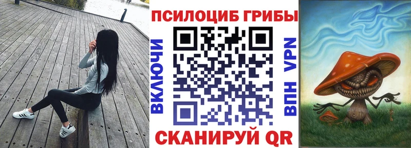kraken зеркало  Миасс  Псилоцибиновые грибы ЛСД 